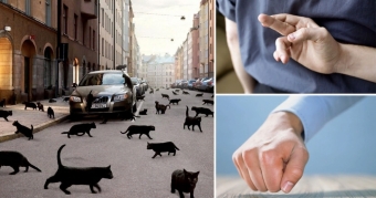 Почему все верят в приметы?