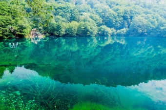 🏞️ Голубые озера Кабардино-Балкарии: История одного погружения в синеву