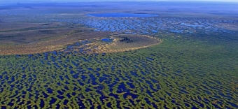 🏞️ Васюганские болота: Ну, это прям *огромно*, ребята! 🤯