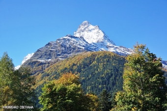 Гора Белалакая: Жемчужина Республики Алтай 🏔️🌲