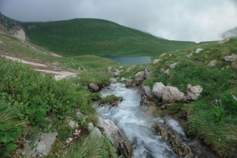 Кавказский биосферный заповедник: Уникальная экосистема России 🌲🏔️