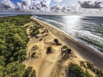 Куршская Коса: Уникальное Природное Наследие Калининградской Области 🌊🌲