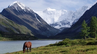 Алтайские горы: Природное великолепие Сибири 🏔️