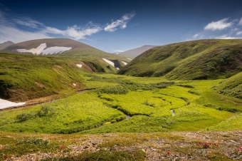 Живописные места 🌱Лето на острове Беринга.