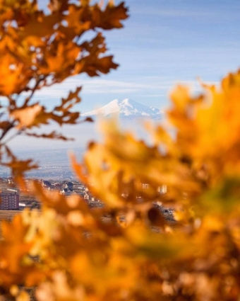 Осень на КМВ: Как я нашел свой дзен среди золотых пейзажей и целебного воздуха!
