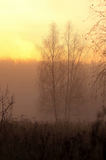  Ловим волшебство: Ноябрьский рассвет, который согревает душу! ✨