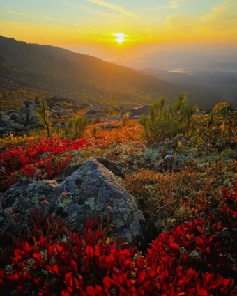 Когда осень зажигает на Урале: не просто листопад, а целое шоу! 🍁✨