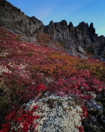 Когда осень зажигает на Урале: не просто листопад, а целое шоу! 🍁✨
