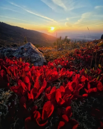 Когда осень зажигает на Урале: не просто листопад, а целое шоу! 🍁✨