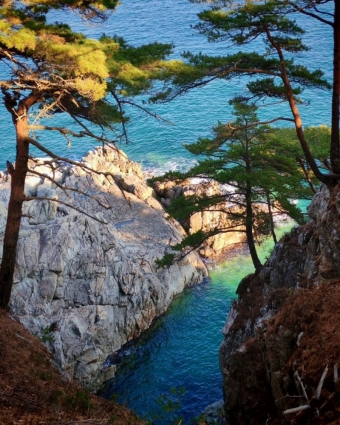 Гамова: Там, где Тихий океан шепчет скалам, а сосны стоят на страже красоты 🌲🌊