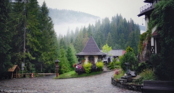Красоты славянских лесов