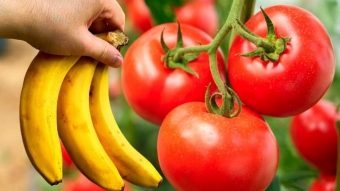 🧀🍌🥚 Продукты, которые не стоит хранить в холодильнике 🌡️❄️