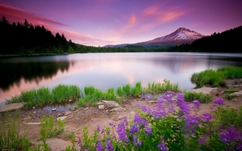 Природа как она есть