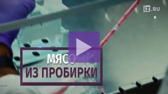 Ни рыбы, ни мяса: для производства альтернативной еды запросили господдержки. Ч.8