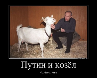 Демотиваторы про Коз и Козлофф