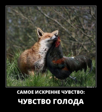 Демотиватор о лисьих проделок