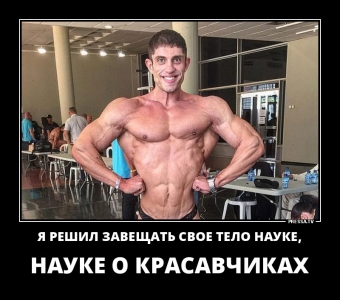 Демотиваторы про качков 
