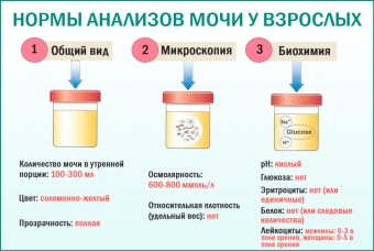 Топ 10 важных анализов, которые нужно сдать каждому мужчине после 40 лет 