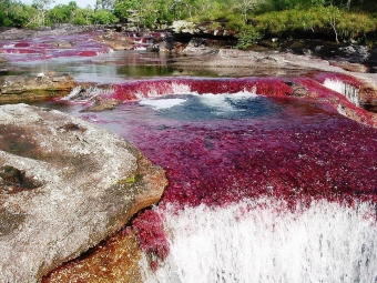 Красивые реки и водоёмы