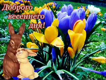 Желаю все весеннего настроения 
