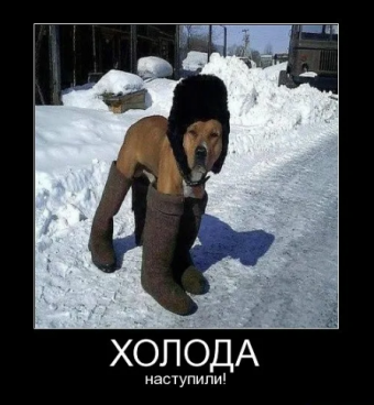 Прикольные валенки