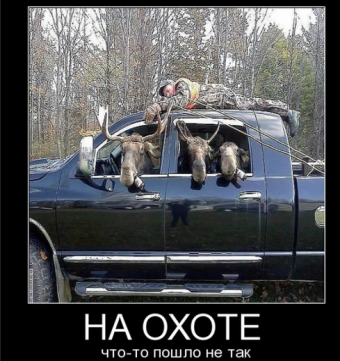 Демотиватор про прикольную охоту