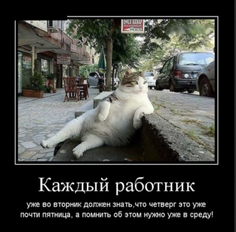 Демотиваторы про четверг