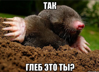 Демотиваторы про крота