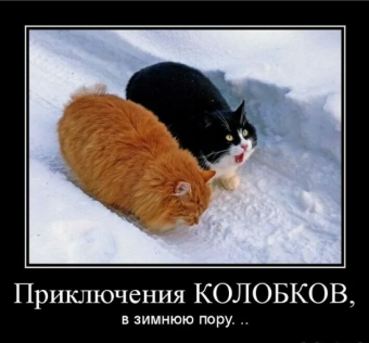 Демотиватор про зиму
