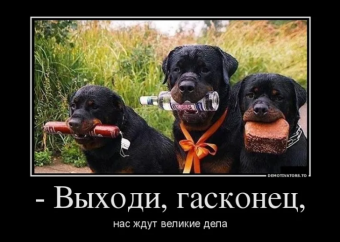 Демотиваторы про Ротвейлера