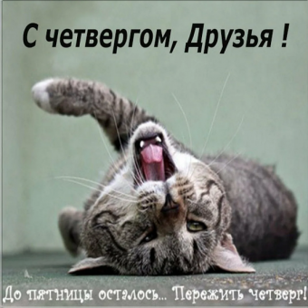 Демотиваторы про четверг