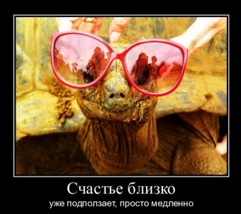 Демотиваторы про ржачные очки