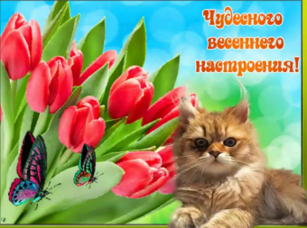 Желаю все весеннего настроения 