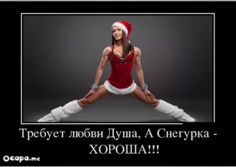 Демотиватор про новый год