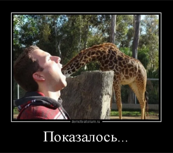Демотиваторы про жирафа