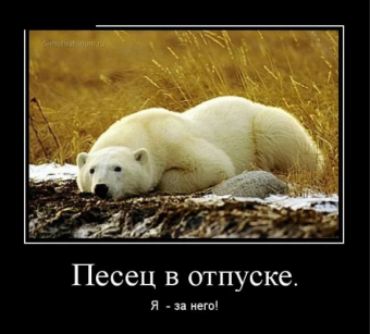 Демотиваторы про белого медведя