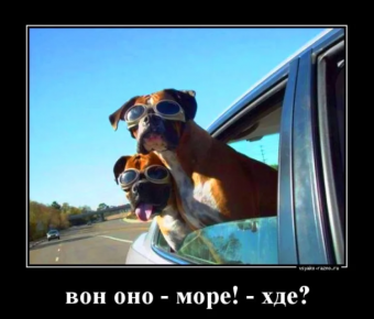 Смешные демотиваторы про виражи