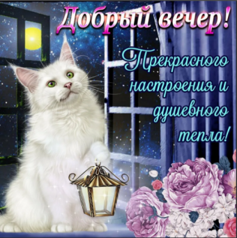Открытки с добрым вечером