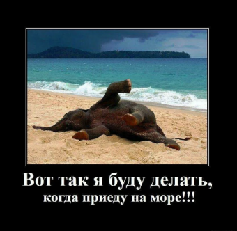 Демотиваторы про приколы на море