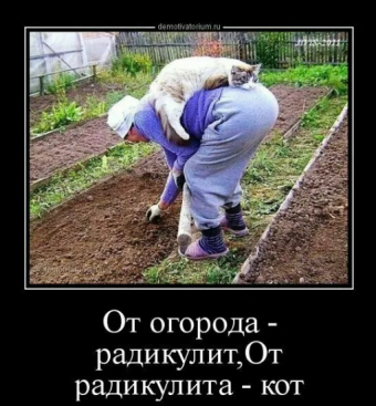 Демотиваторы про Садоводов