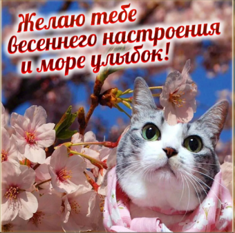 Желаю все весеннего настроения 