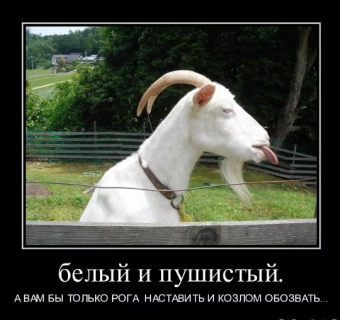 Демотиваторы про кози-мози