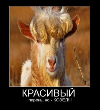 Демотиваторы про кози-мози