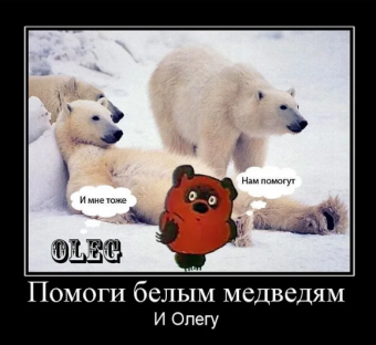 Демотиваторы про белого медведя