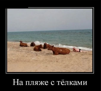 Демотиваторы про ржачный пляжный сезон