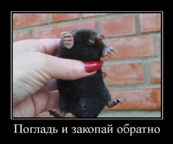 Демотиваторы про крота