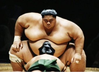 Что вы не знаете о сумо.