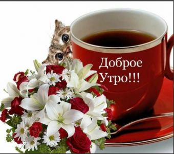 Открытки с поздравлениями доброго утра