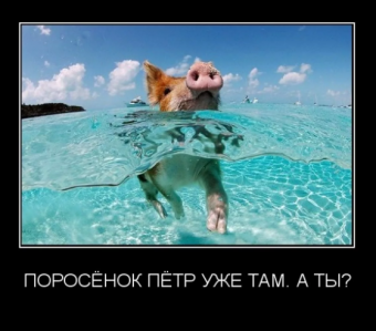 Демотиваторы про приколы на море