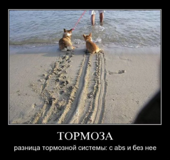 Демотиваторы про приколы на море